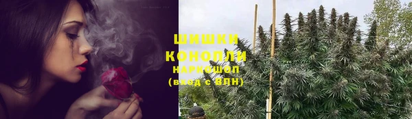 мяу мяу мука Аркадак