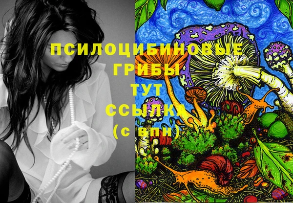мяу мяу мука Аркадак