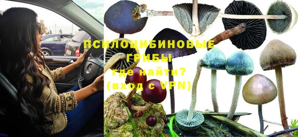 apvp Балахна