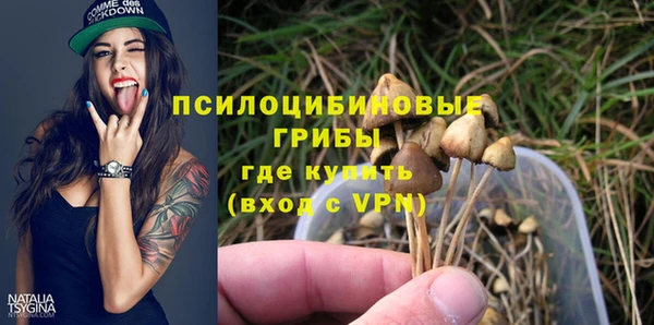 apvp Балахна