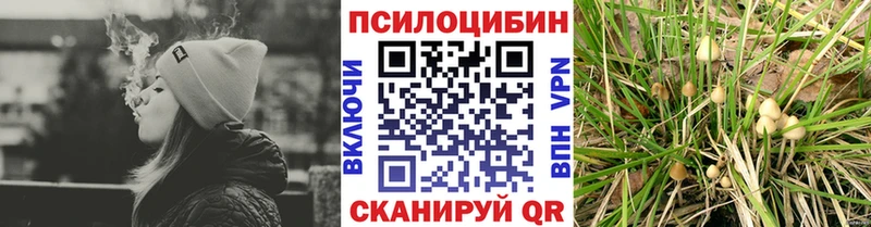 Псилоцибиновые грибы Psilocybe  наркота  KRAKEN   Райчихинск 